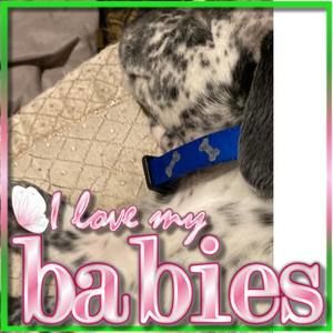 Meet your Posher, Meagan